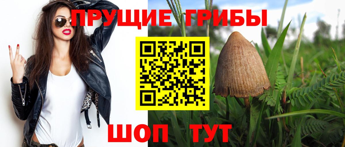 Малгобек  Псилоцибиновые грибы GOLDEN TEACHER  Вход с VPN 
