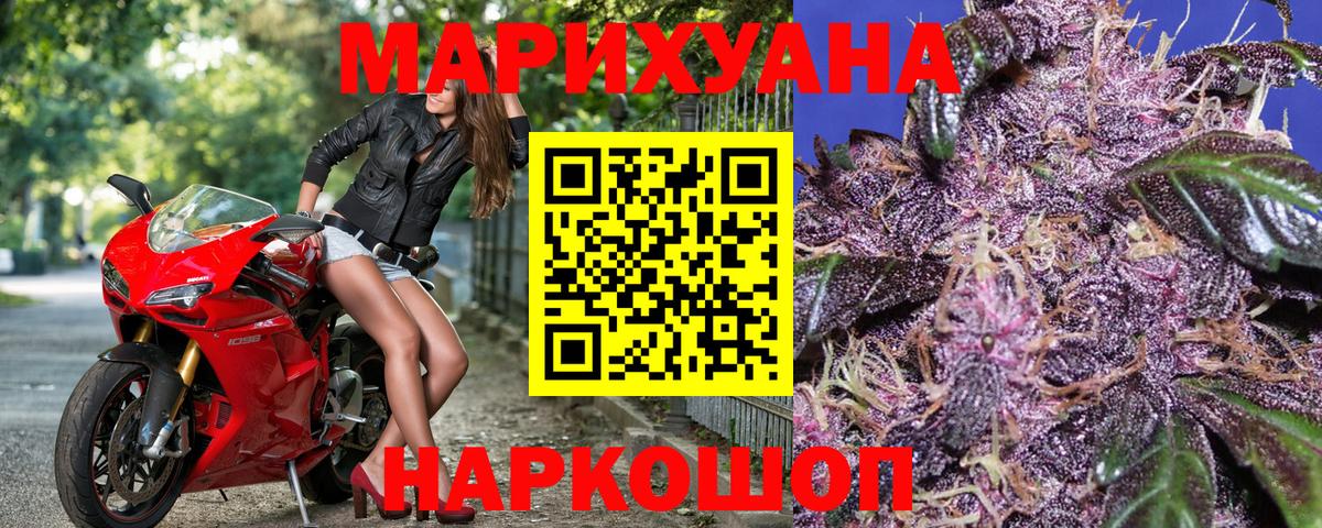 МАРИХУАНА гибрид  Вход с VPN  Шишки марихуана White Widow  Шишки марихуана OG Kush  Канабис планчик  Малгобек 